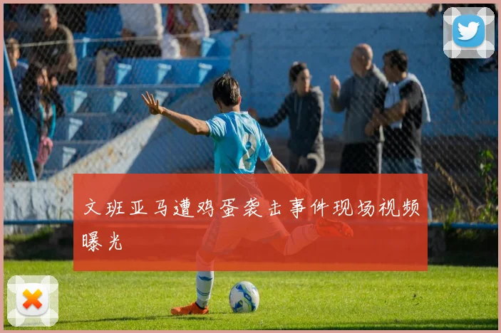 文班亚马遭鸡蛋袭击事件现场视频曝光